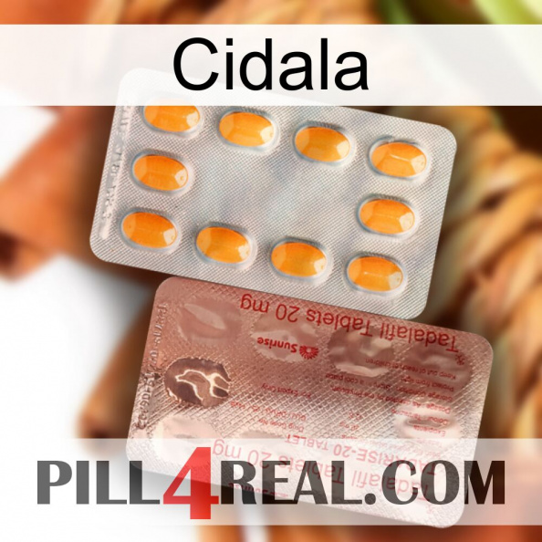 Cidala new13